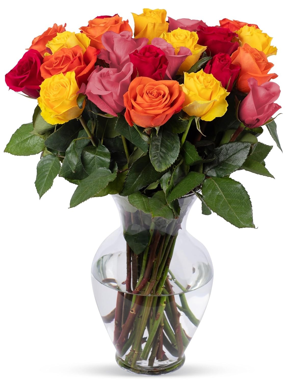 Premium Rainbow Roses – 24 Stems with Vase | Fresh Flower Gift for Any Occasion