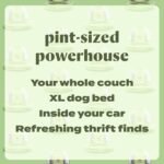 bissell little green mini portable carpet and upholstery deep cleaner, car/auto detailer, with hydrorinse self cleaning tool and 4" tough stain tool,...